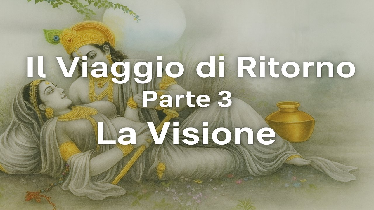 Il Visione La Visione - A Scuola dal Maestro